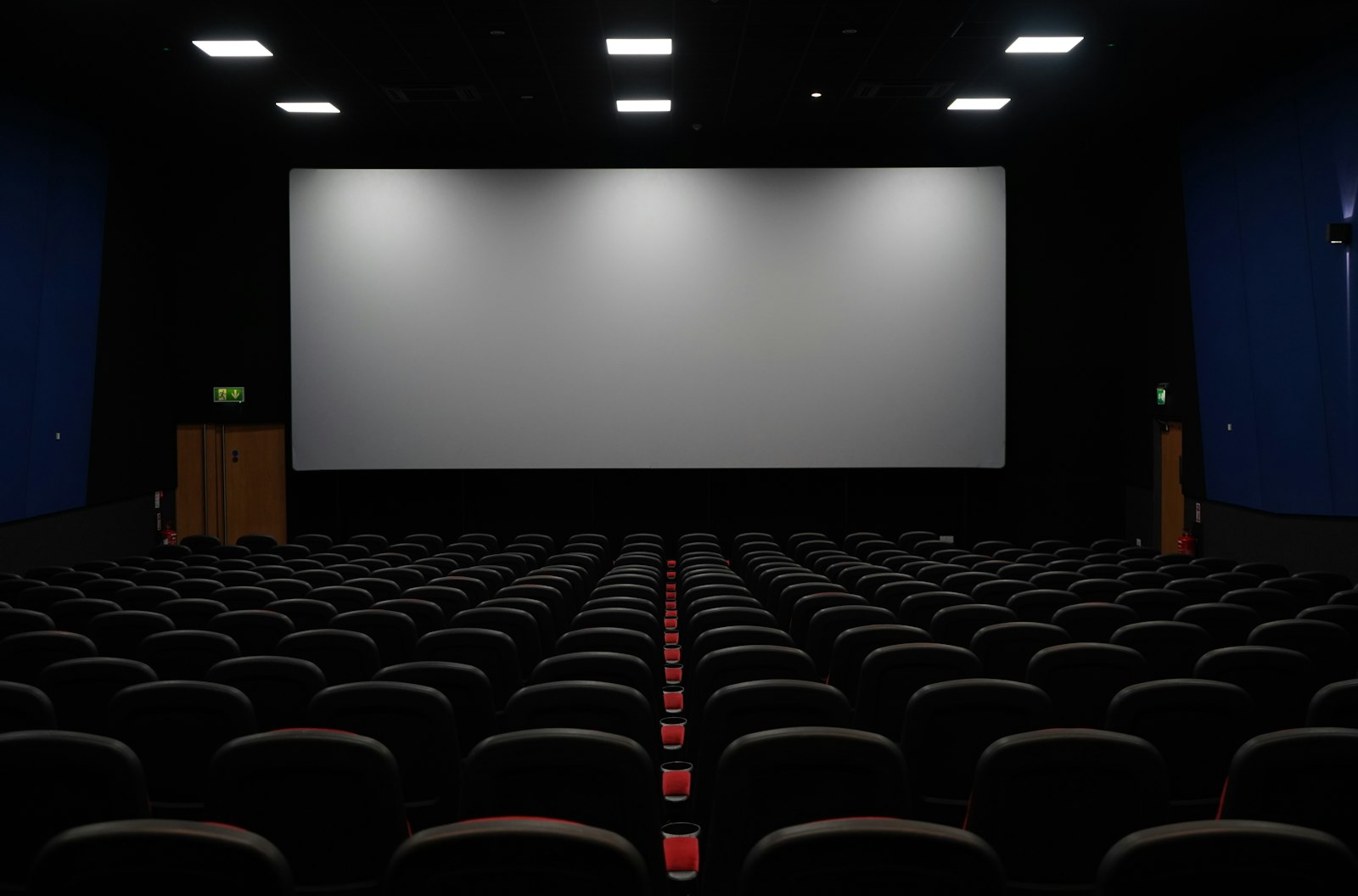Private home cinema